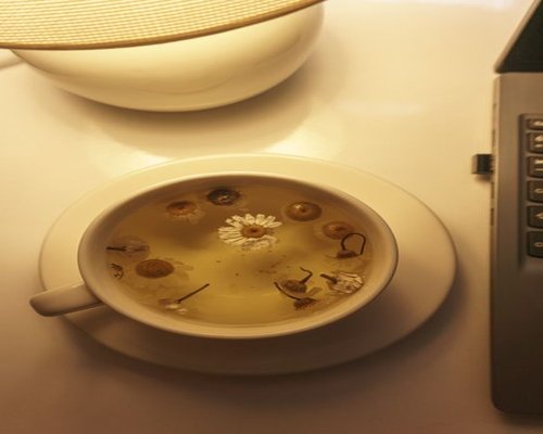 A cup of organic warm herbal infusion tea on a tidy workspace desk setup